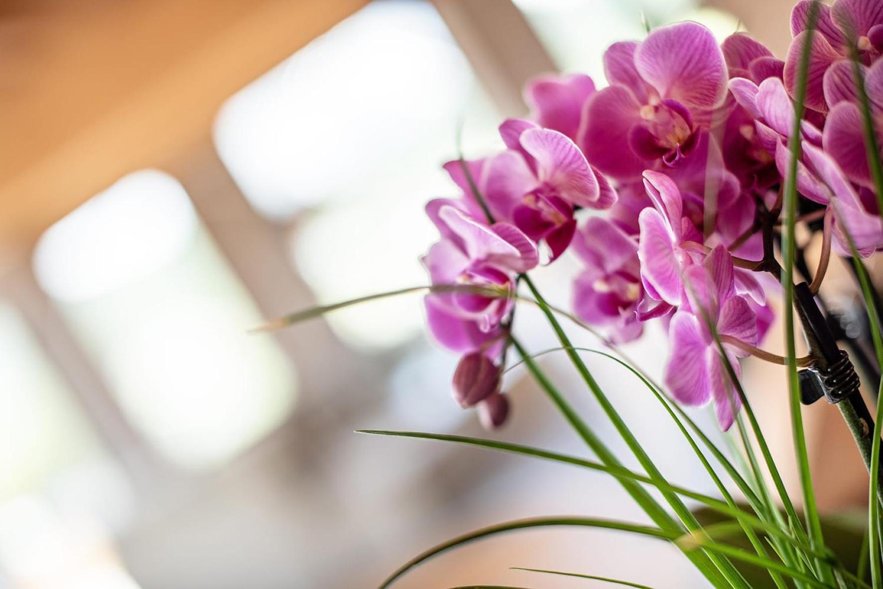 Gotthard - Fine Living Apartments Seefeld w Tirolu Zewnętrze zdjęcie